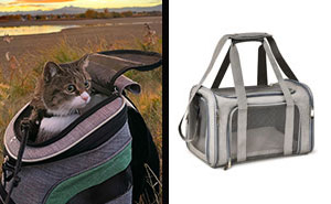 Best Cat Carrier In 2024, Approved By A Vet