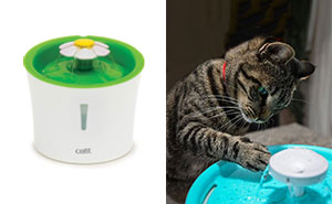 Best Cat Water Fountain In 2024, According To Vet