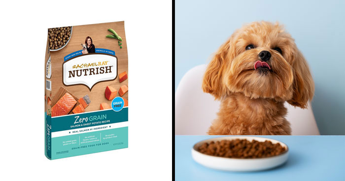 Best Cheap Dog Food Recommended By Vets