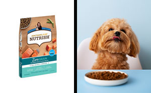 Best Cheap Dog Food Recommended By Vets