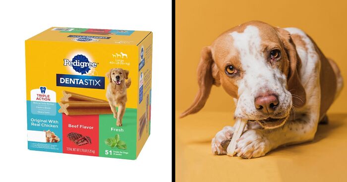 Best Dog Dental Chews In 2024