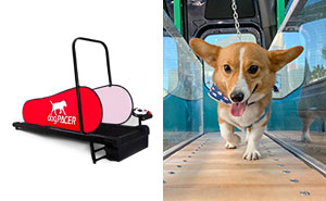 Best Dog Treadmill In 2024, According To Vet
