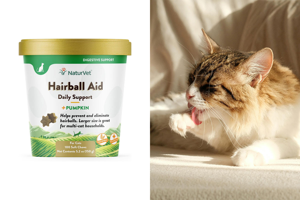 The Best Hairball Remedy For Cats In 2024 Bored Panda