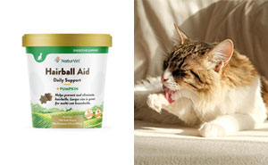 The Best Hairball Remedy For Cats In 2024