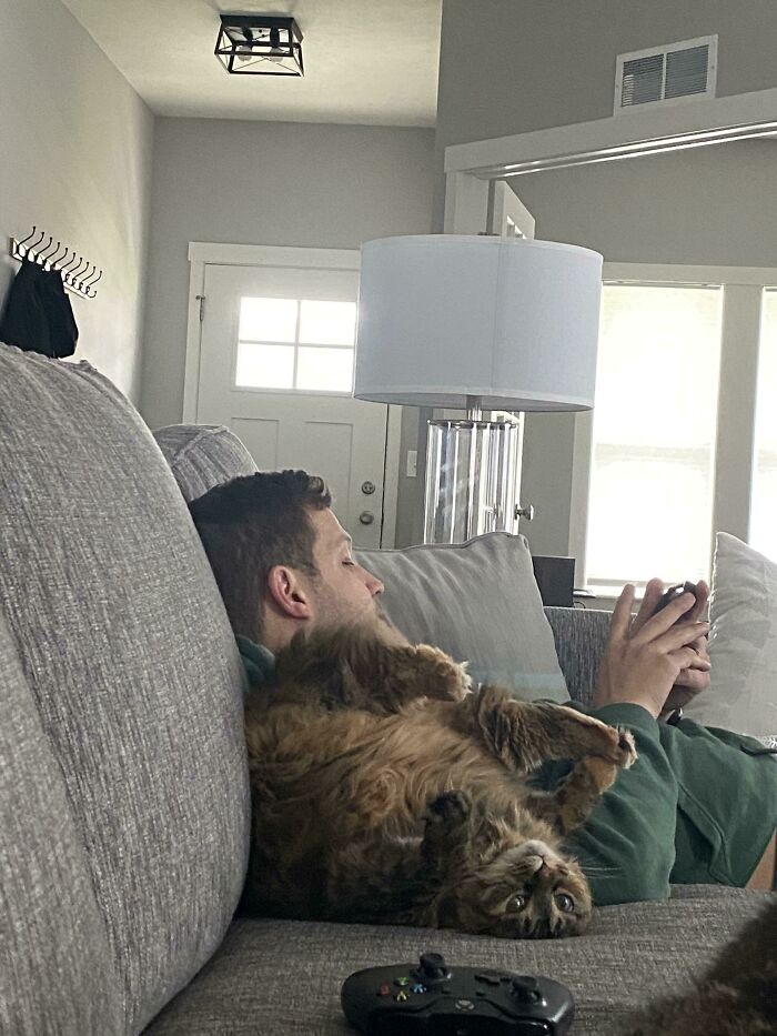 Le gusta usar el sofá así