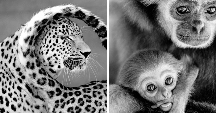 My Favorite Black-And-White Photos I’ve Taken In The Last 18 Years (23 Pics)