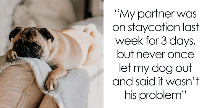 Guy Makes A Dumb Excuse Not To Walk GF’s Dog, Is About To Face The Consequences