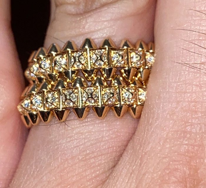 “Look For More Errors”: People Left Baffled After Man Bought 13k Cartier Earrings For $13