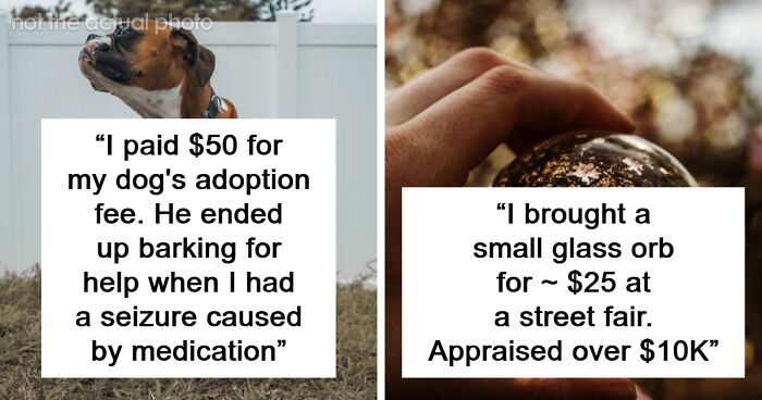 35 Times People Bought Ridiculously Cheap Things That Turned Out To Be The Best Purchases