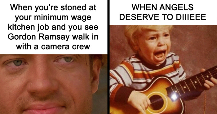 50 Clever And Witty Memes, As Seen On ‘Tank Sinatra’