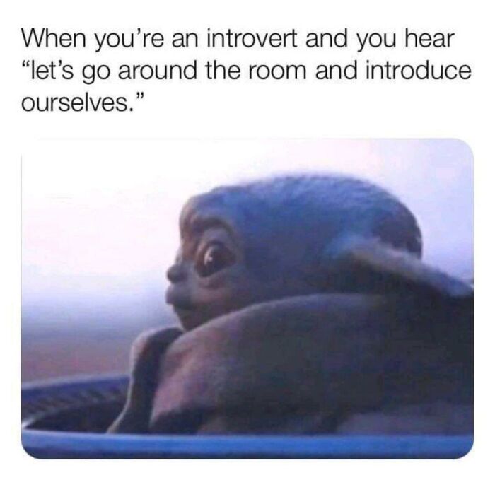 Funny-Introvert-Memes-Winningintroverts