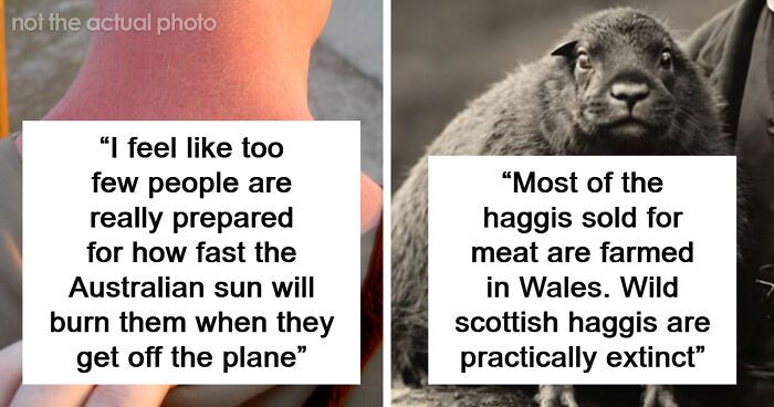 “Scottish Haggis Are Practically Extinct”: 40 Interesting Facts About Countries Round The Globe