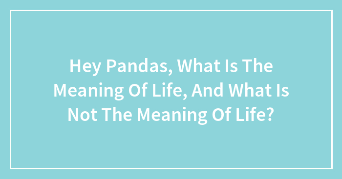 Hey Pandas, What Is The Meaning Of Life, And What Is Not The Meaning Of Life? (Closed)