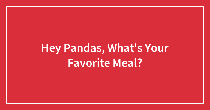 Hey Pandas, What’s Your Favorite Meal? (Closed)