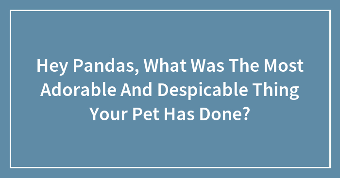 Hey Pandas, What Was The Most Adorable And Despicable Thing Your Pet Has Done?