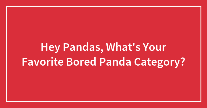 Hey Pandas, What’s Your Favorite Bored Panda Category? (Closed)