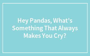 Hey Pandas, What’s Something That Always Makes You Cry?