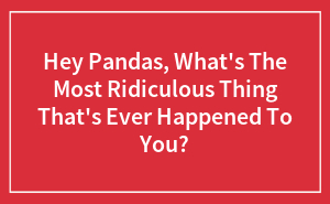 Hey Pandas, What's The Most Ridiculous Thing That's Ever Happened To You?