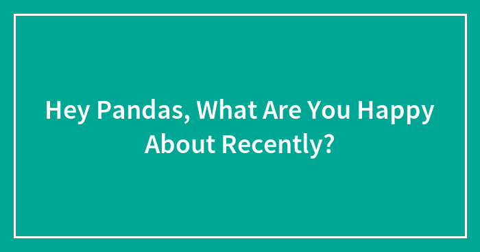 Hey Pandas, What Are You Happy About Recently? (Closed)