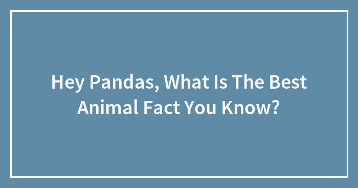 Hey Pandas, What Is The Best Animal Fact You Know? (Closed)