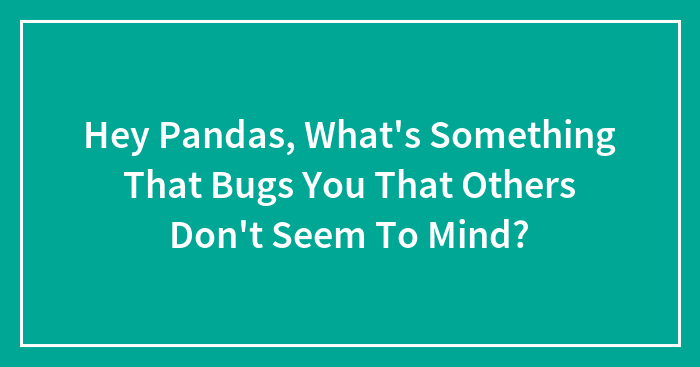 Hey Pandas, What’s Something That Bugs You That Others Don’t Seem To Mind? (Closed)