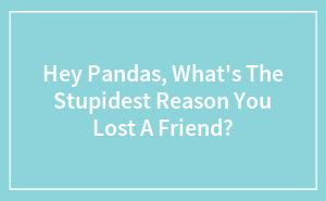 Hey Pandas, What's The Stupidest Reason You Lost A Friend?