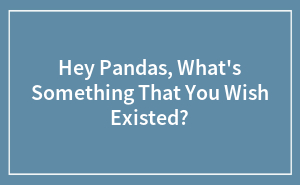 Hey Pandas, What’s Something That You Wish Existed?