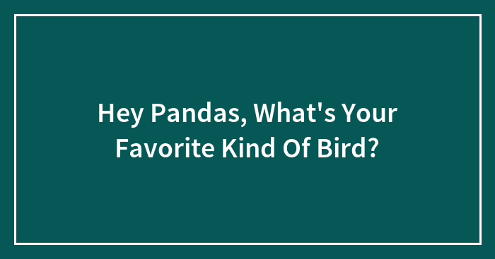 Hey Pandas, What’s Your Favorite Kind Of Bird? (Closed)