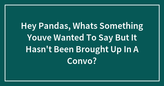 Hey Pandas, What’s Something You’ve Wanted To Say But It Hasn’t Been Brought Up In A Convo? (Closed)