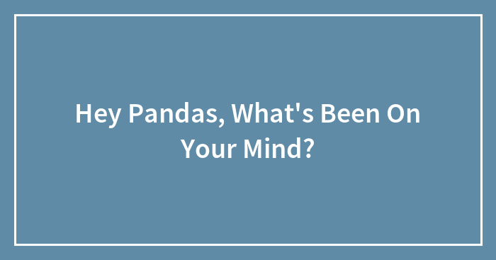 Hey Pandas, What’s Been On Your Mind? (Closed)