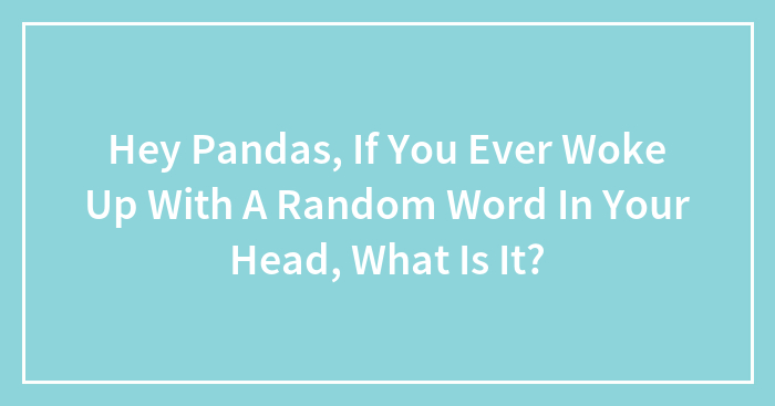 Hey Pandas, If You Ever Woke Up With A Random Word In Your Head, What Is It?