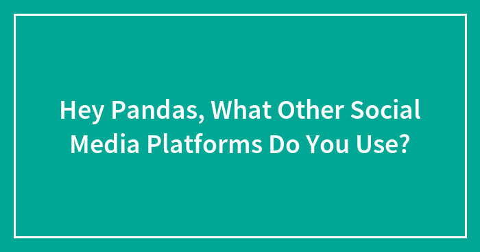 Hey Pandas, What Other Social Media Platforms Do You Use?