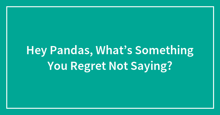 Hey Pandas, What’s Something You Regret Not Saying?