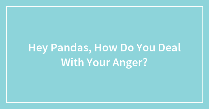 Hey Pandas, How Do You Deal With Your Anger? (Closed)