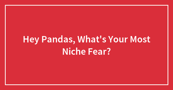 Hey Pandas, What’s Your Most Niche Fear? (Closed)