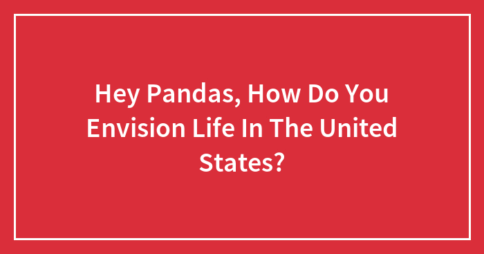 Hey Pandas, How Do You Envision Life In The United States?