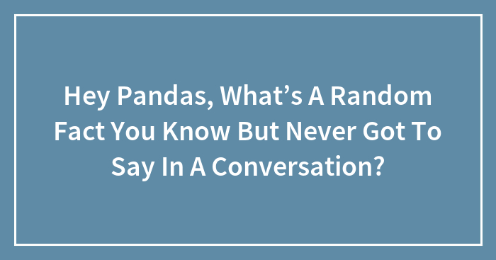 Hey Pandas, What’s A Random Fact You Know But Never Got To Say In A Conversation? (Closed)