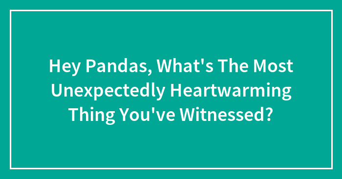 Hey Pandas, What’s The Most Unexpectedly Heartwarming Thing You’ve Witnessed? (Closed)