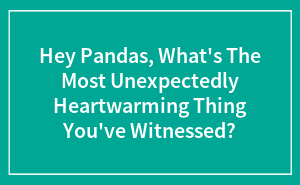 Hey Pandas, What's The Most Unexpectedly Heartwarming Thing You've Witnessed?