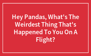 Hey Pandas, What's The Weirdest Thing That's Happened To You On A Flight?