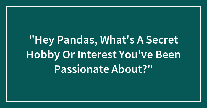 Hey Pandas, What’s A Secret Hobby Or Interest You’ve Been Passionate About?