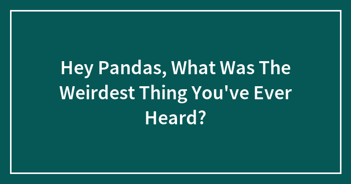 Hey Pandas, What Was The Weirdest Thing You’ve Ever Heard?