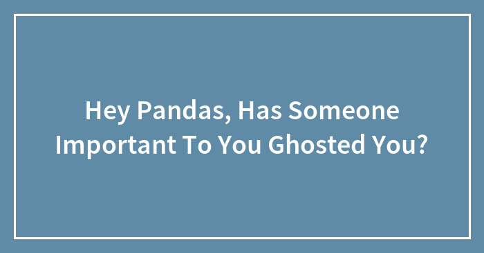 Hey Pandas, Has Someone Important To You Ghosted You?