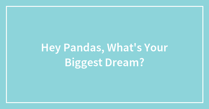 Hey Pandas, What’s Your Biggest Dream?