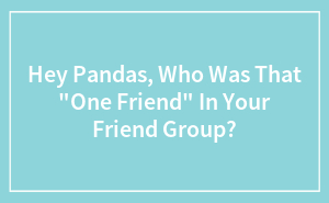 Hey Pandas, Who Was That “One Friend” In Your Friend Group?