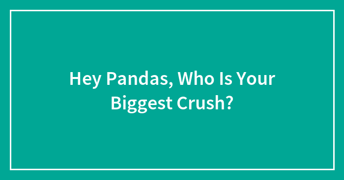 Hey Pandas, Who Is Your Biggest Crush?