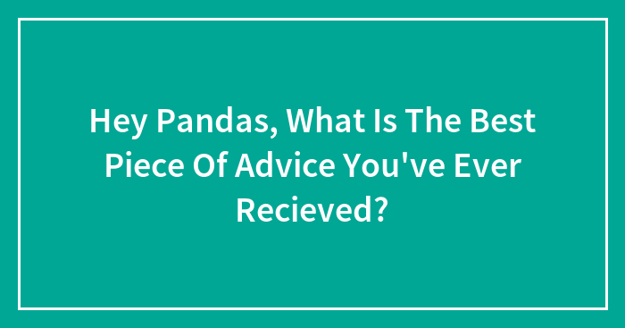 Hey Pandas, What Is The Best Piece Of Advice You’ve Ever Recieved?