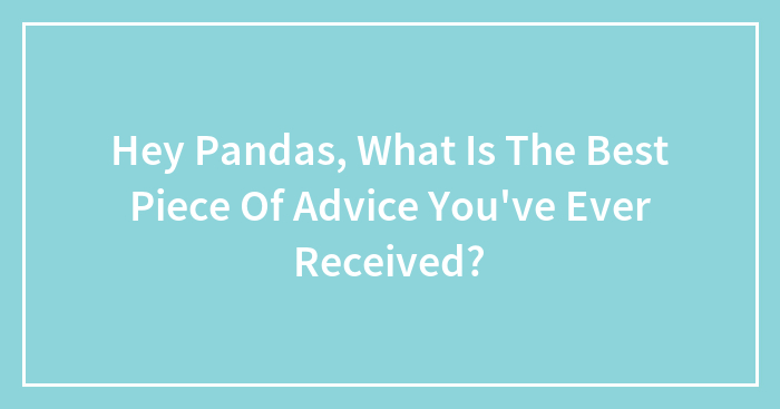 Hey Pandas, What Is The Best Piece Of Advice You’ve Ever Received?