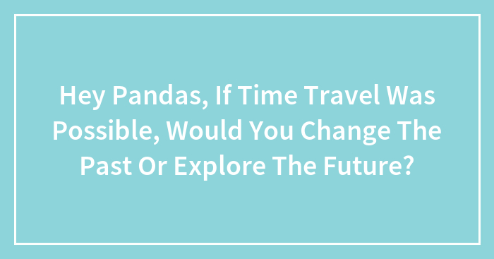 Hey Pandas, If Time Travel Was Possible, Would You Change The Past Or Explore The Future? (Closed)