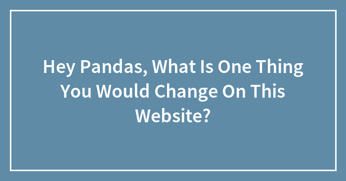Hey Pandas, What Is One Thing You Would Change On This Website? (Closed)